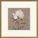Pretty as a Peony Beige and Brown and Neutral Framed Art