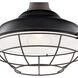 Pier 1 Light 13 inch Black Pendant/Semi Flush Ceiling Light