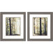 Landscapes Brown and Green and Orange Framed Art, Propac