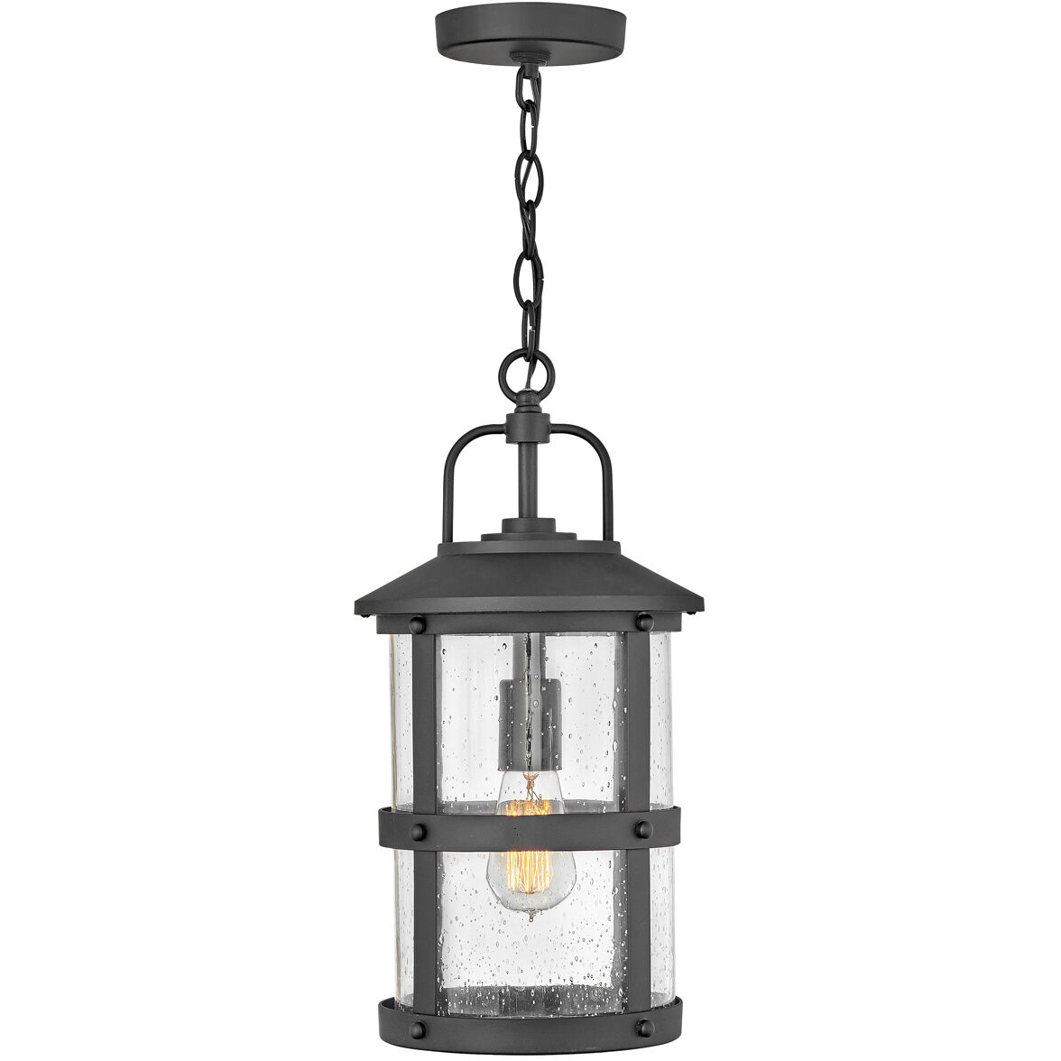 Estate Series Lakehouse LED 9 inch Black Outdoor Hanging Lantern, Low Voltage