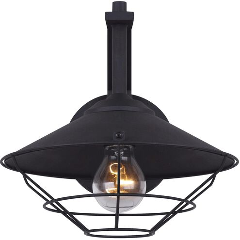 Briggs 1 Light 10 inch Black Outdoor Down Light