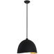 Eclos 1 Light 15.75 inch Sand Coal With Gold Leaf Inside Pendant Ceiling Light