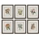 Orchid 24.5 X 20.5 inch Botanical Framed Prints, Set of 6