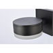 Raine Outdoor Wall Light in Black
