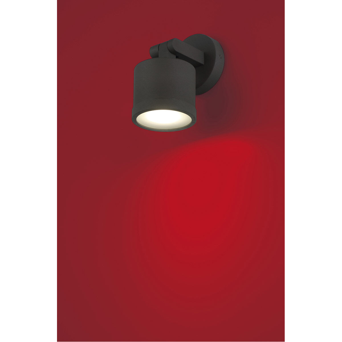 Zone Bronze 5.50 watt LED Spotlight