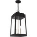 Oslo 3 Light 10.5 inch Black Outdoor Pendant Lantern