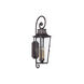 Bancroft 4 Light 35 inch Aged Pewter Outdoor Wall Sconce