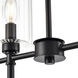 Chastine Island Chandelier Ceiling Light in Matte Black
