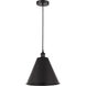 Edison Cone LED 12 inch Matte Black Mini Pendant Ceiling Light