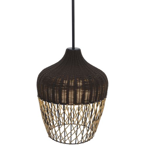 Hannah 1 Light 22 inch Black Outdoor Pendant, Both Indoor/Outdoor