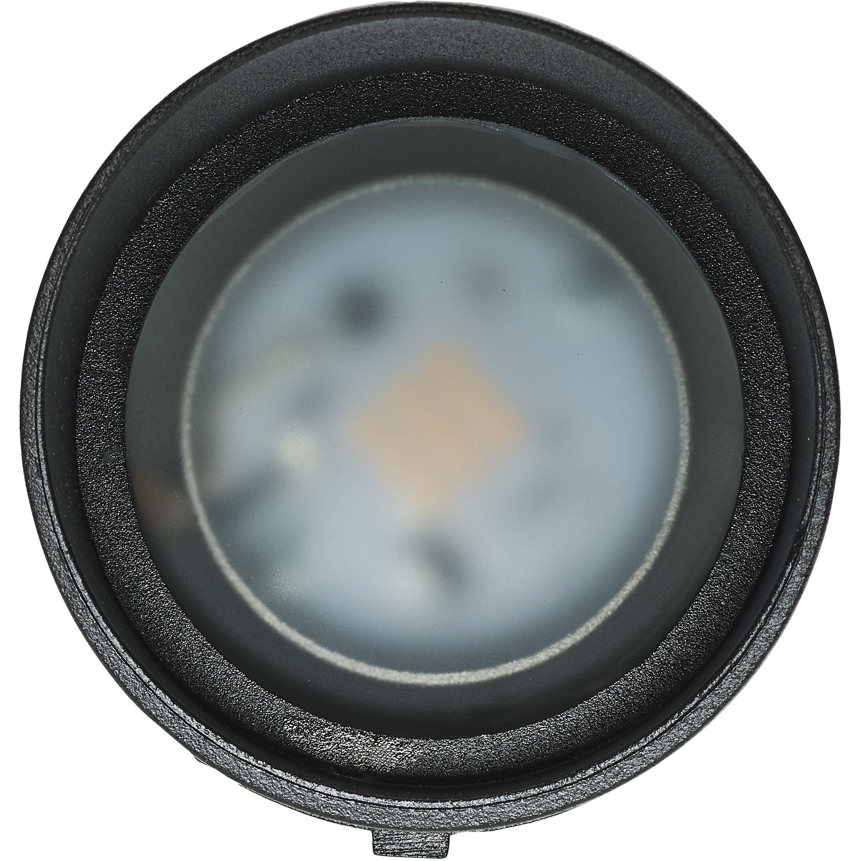 Brentwood 120V 9.00 watt Matte Black Landscape Flood Light