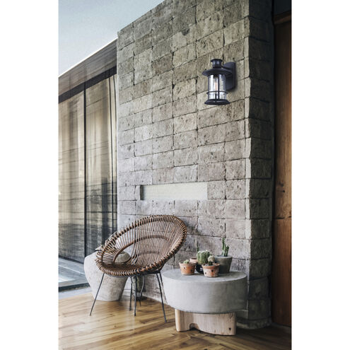 Dakota 1 Light 12.5 inch Black Outdoor Wall Lantern