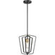 Inuvik 1 Light Multiple Finishes and Graphite Mini-Pendant Ceiling Light
