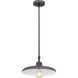 Camden 1 Light 14 inch Modern Bronze Pendant Ceiling Light