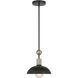 Biloxi 1 Light 23.88 inch Coal And Weathered Antique Brass Pendant Ceiling Light