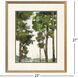 Tree Canopy Green and Beige and Brown and Neutral Framed Art