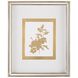 Botanicals VIII Golden Wall Decor, Giclees