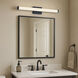 Spec LED 30 inch Black Bath Vanity Wall Light
