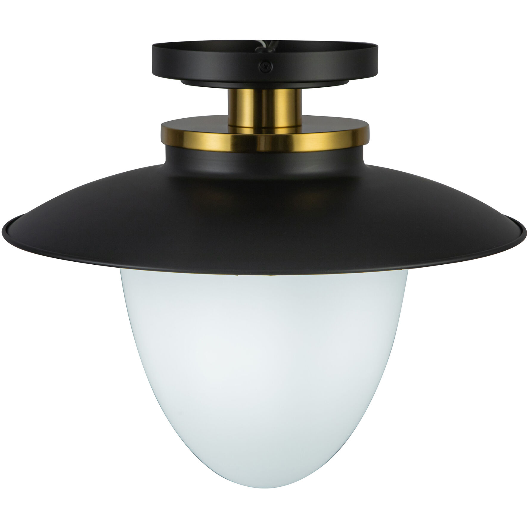 Dahlia 1 Light 15 inch Black and Brass Pendant Ceiling Light