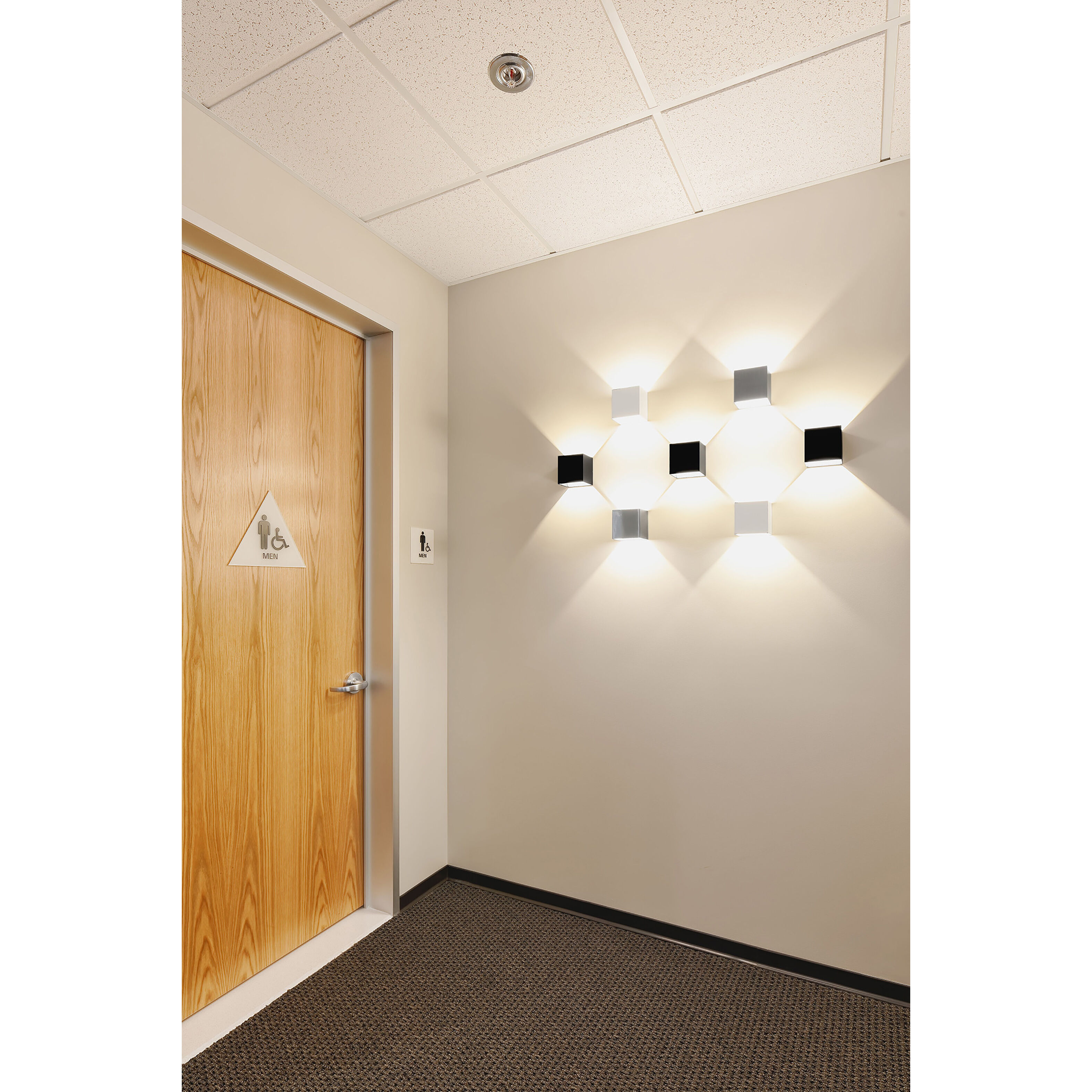 QB LED Wall Sconce Wall Light in Black