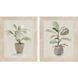 Florals Collection Green Framed Art