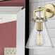 Newton Cone Sconce Wall Light in Brushed Brass, Seedy Glass