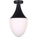 Evlin 1 Light 9.75 inch Black Pendant Ceiling Light