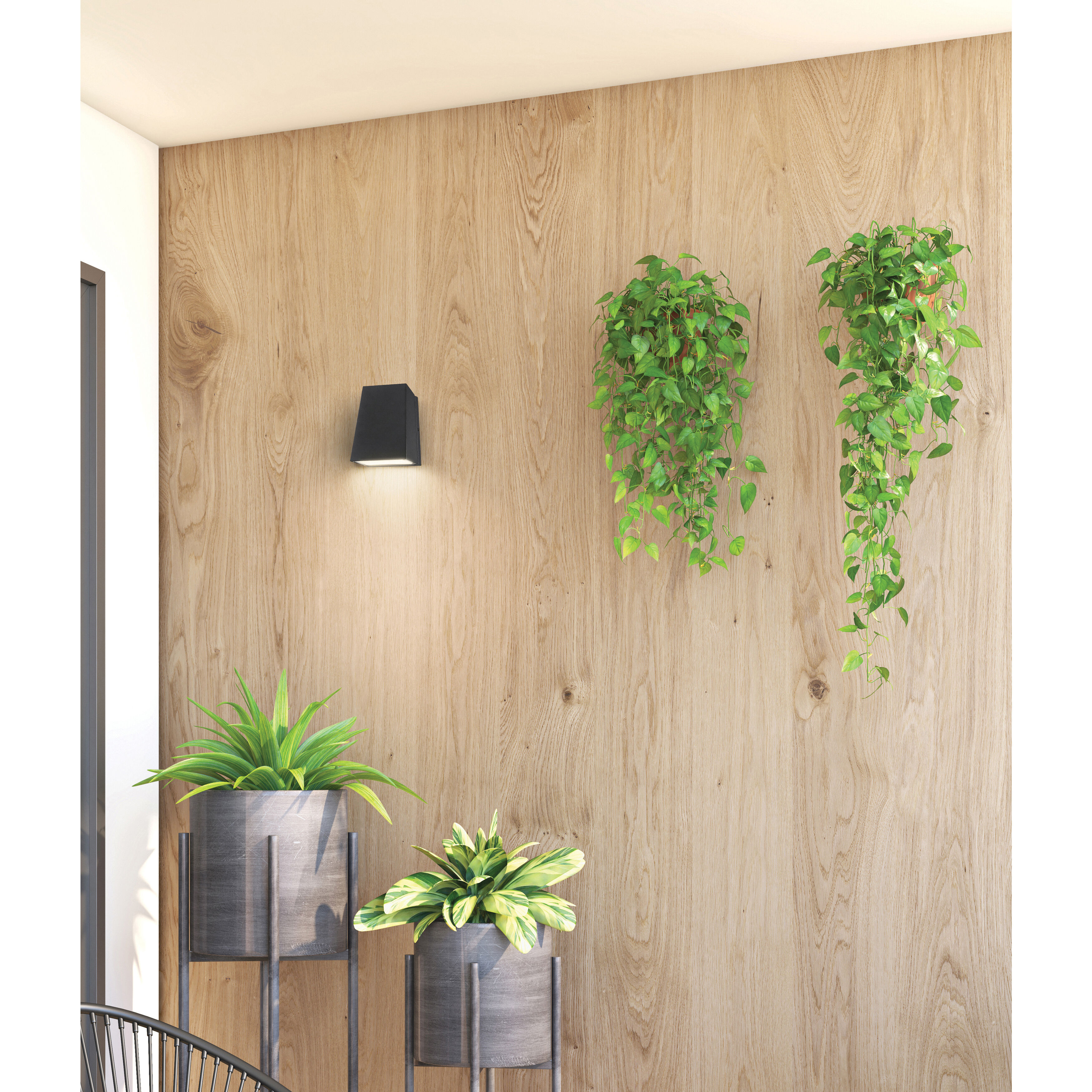 Edge Wall Sconce Wall Light in Black