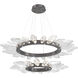 Rock Crystal LED Graphite Chandelier Ceiling Light, Radial Ring Two Tier