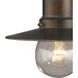 Maritime 1 Light 9 inch Hazelnut Bronze Outdoor Pendant