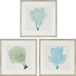 Sea Fan Blue and Turquoise and Green and Beige Framed Art