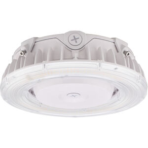 Brentwood LED 10.04 inch White Canopy Fixture Ceiling Light