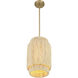 Caviana 1 Light 10 inch Signature Brass Pendant Ceiling Light