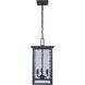 Shana 3 Light 11 inch Black Outdoor Pendant Light