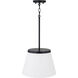 Drake 1 Light 13.25 inch Matte Black Pendant Ceiling Light