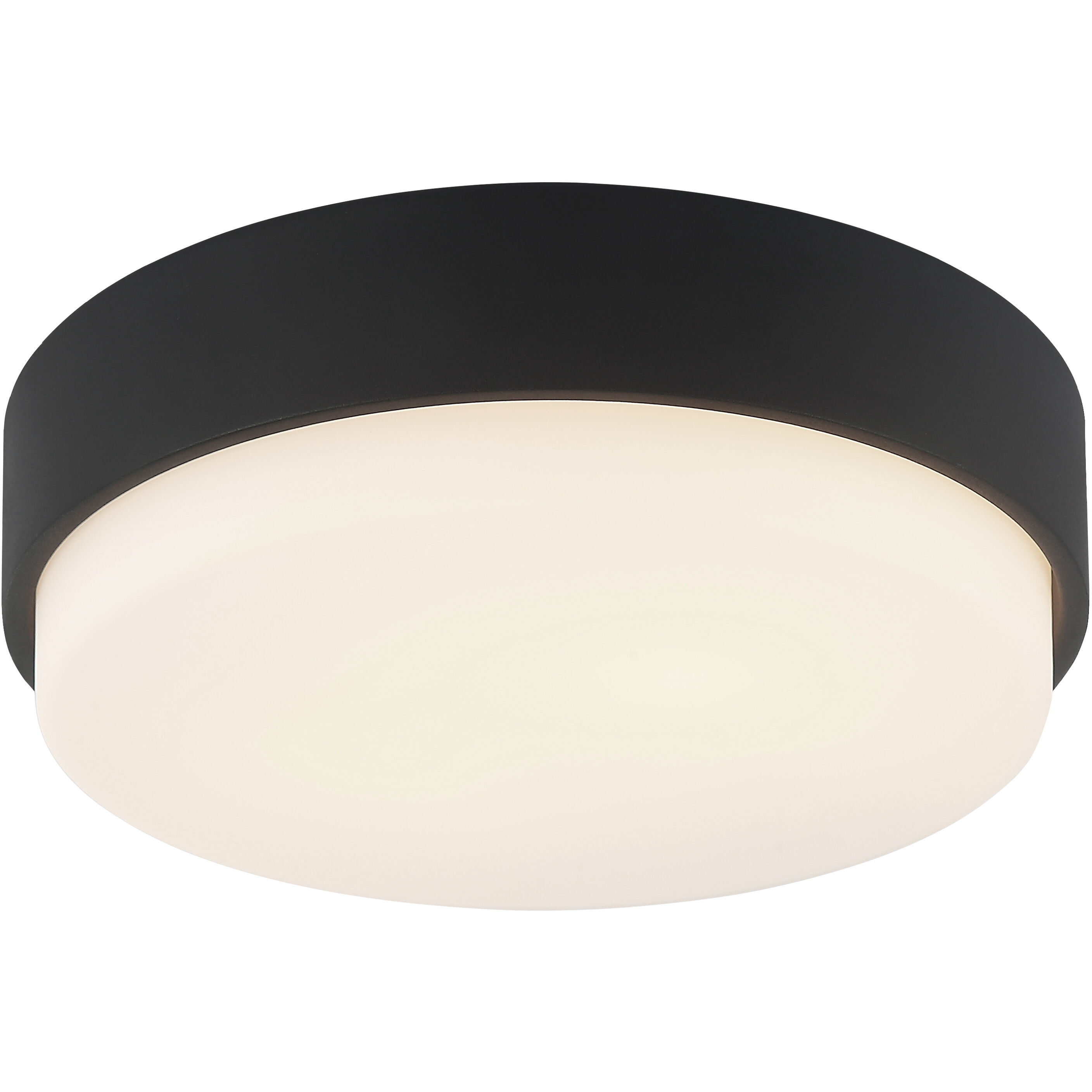 Quintz LED 12 inch Matte Black Flush Mount Ceiling Light