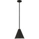 Eaton 1 Light 12 inch Matte Black Pendant Ceiling Light