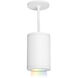 Tube Arch LED 4.88 inch White Mini Pendant Ceiling Light in Flood, 90, Color Changing