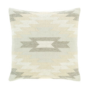 Exeter 20 X 20 inch Ivory/Light Gray Pillow Cover