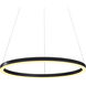Tania 24 inch Black Pendant/Chandelier Ceiling Light