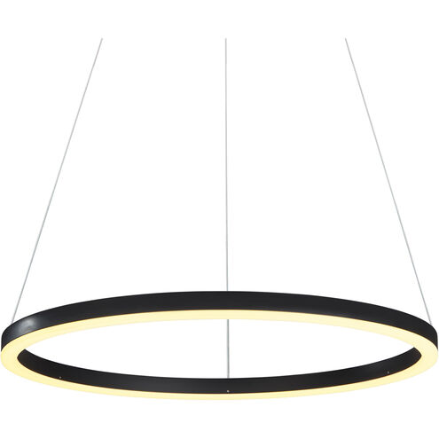 Tania 24 inch Black Pendant/Chandelier Ceiling Light