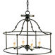 Fitzjames 4 Light 20 inch Mayfair Pendant Ceiling Light, Small, Semi-Flush Convertible