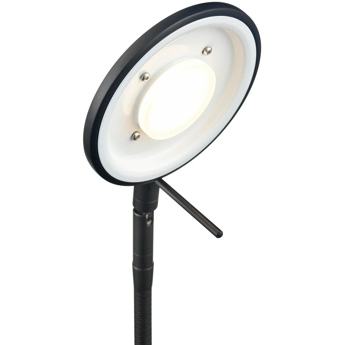 Dessau Flex 18 inch 13.00 watt Museum Black Desk Lamp Portable Light