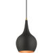Andes 1 Light 8 inch Black with Antique Brass Accents Mini Pendant Ceiling Light