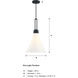Evergreen Oasis LED 12 inch Matte Black Down Pendant Ceiling Light