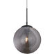 Maruna 1 Light 9 inch Matte Black and Smoked Pendant Ceiling Light