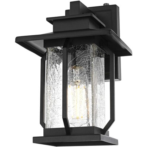 Salem 1 Light 12 inch Black Outdoor Wall Sconce