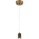 Port Nine LED 8 inch Antique Brushed Brass Pendant Ceiling Light in Seeded
