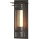 Torch 1 Light 20.3 inch Coastal Dark Smoke Outdoor Sconce, Large