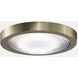 Spitfire LED Black Fan Light